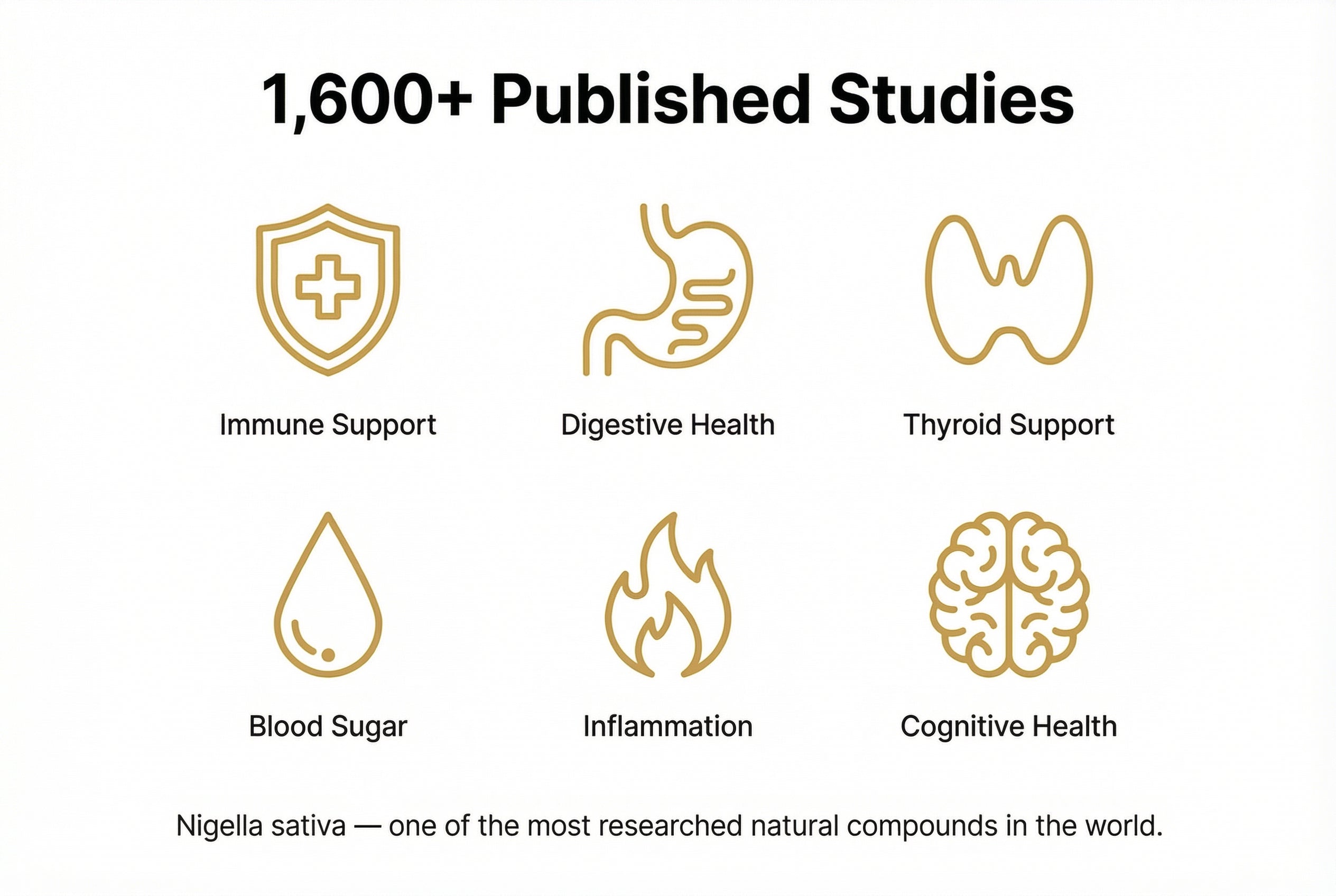 1,600+ Published Studies — Immune Support, Digestive Health, Thyroid Support, Blood Sugar, Inflammation, Cognitive Health
