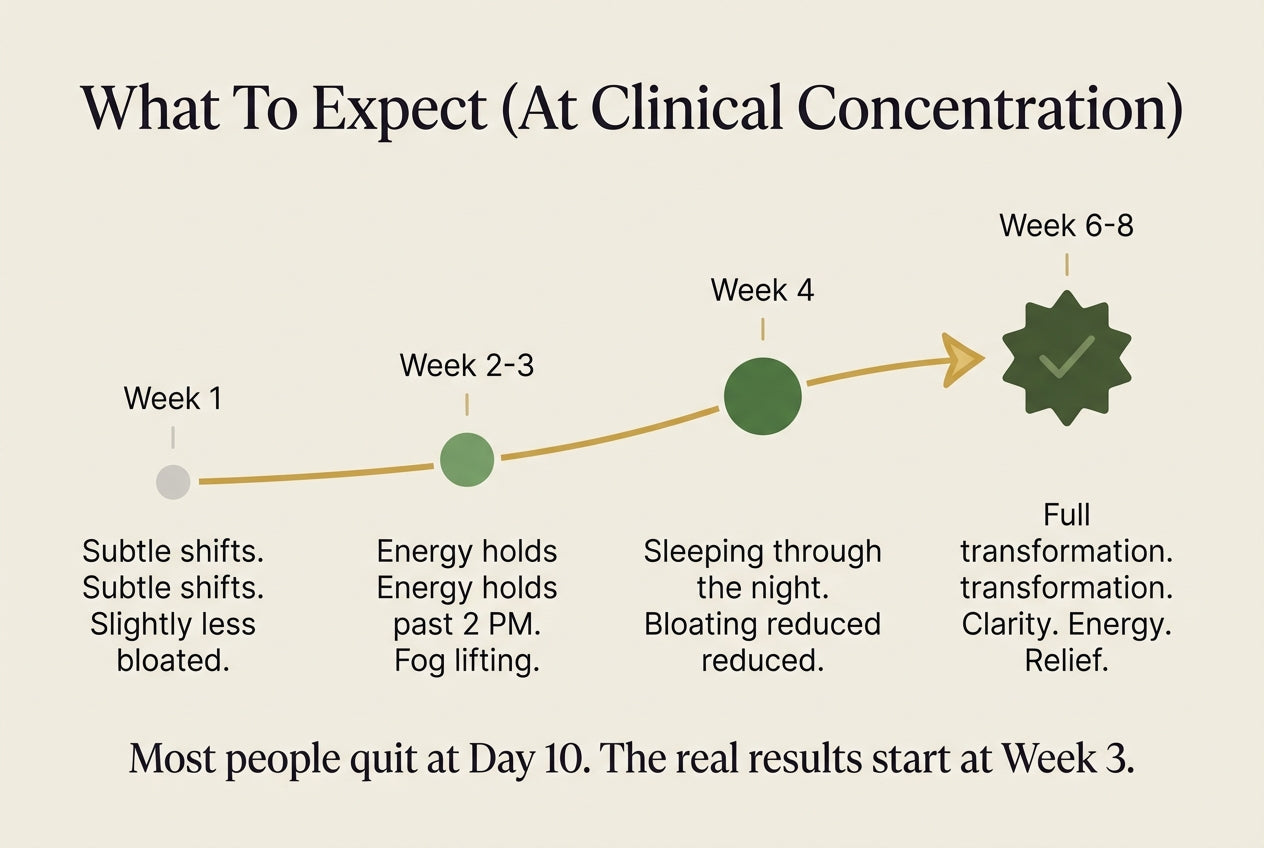 What To Expect timeline — Week 1 through Week 6-8 at clinical concentration