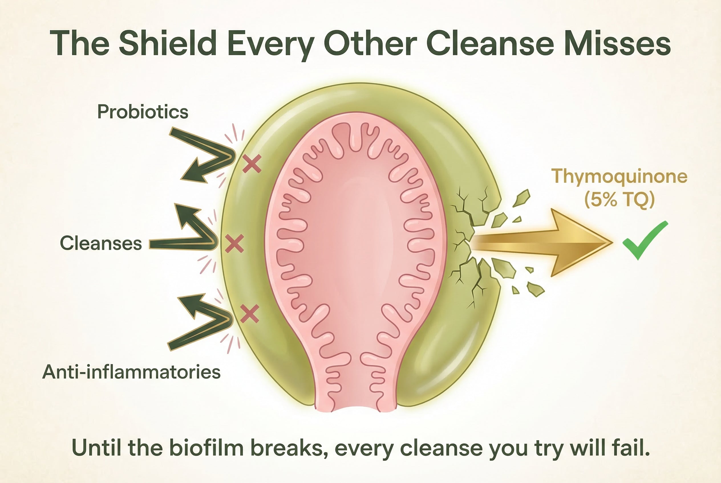 The Shield Every Other Cleanse Misses — biofilm cracking apart, parasites exposed