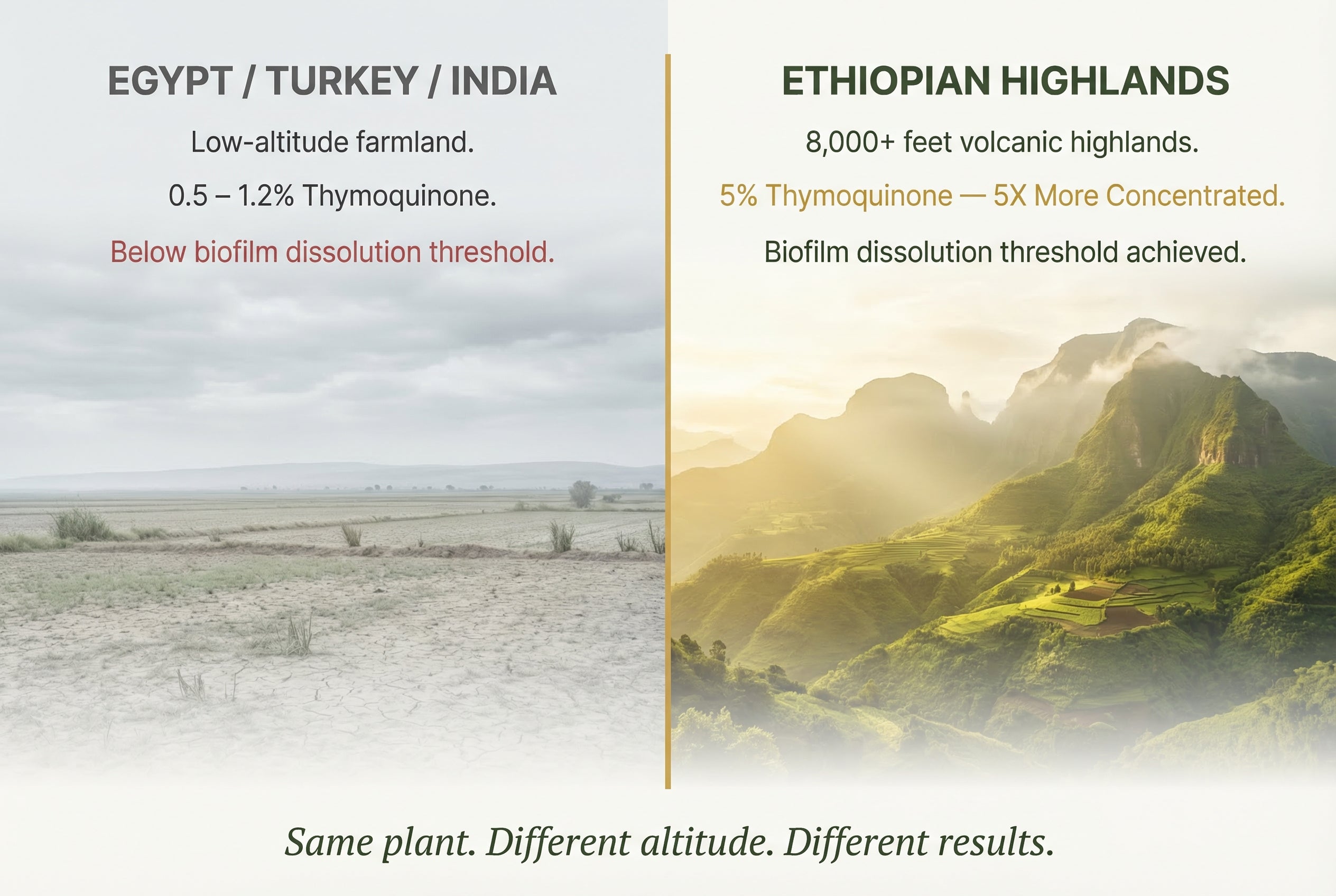 Egypt/Turkey/India low-altitude farmland vs Ethiopian Highlands — 5% TQ, 8,000+ feet
